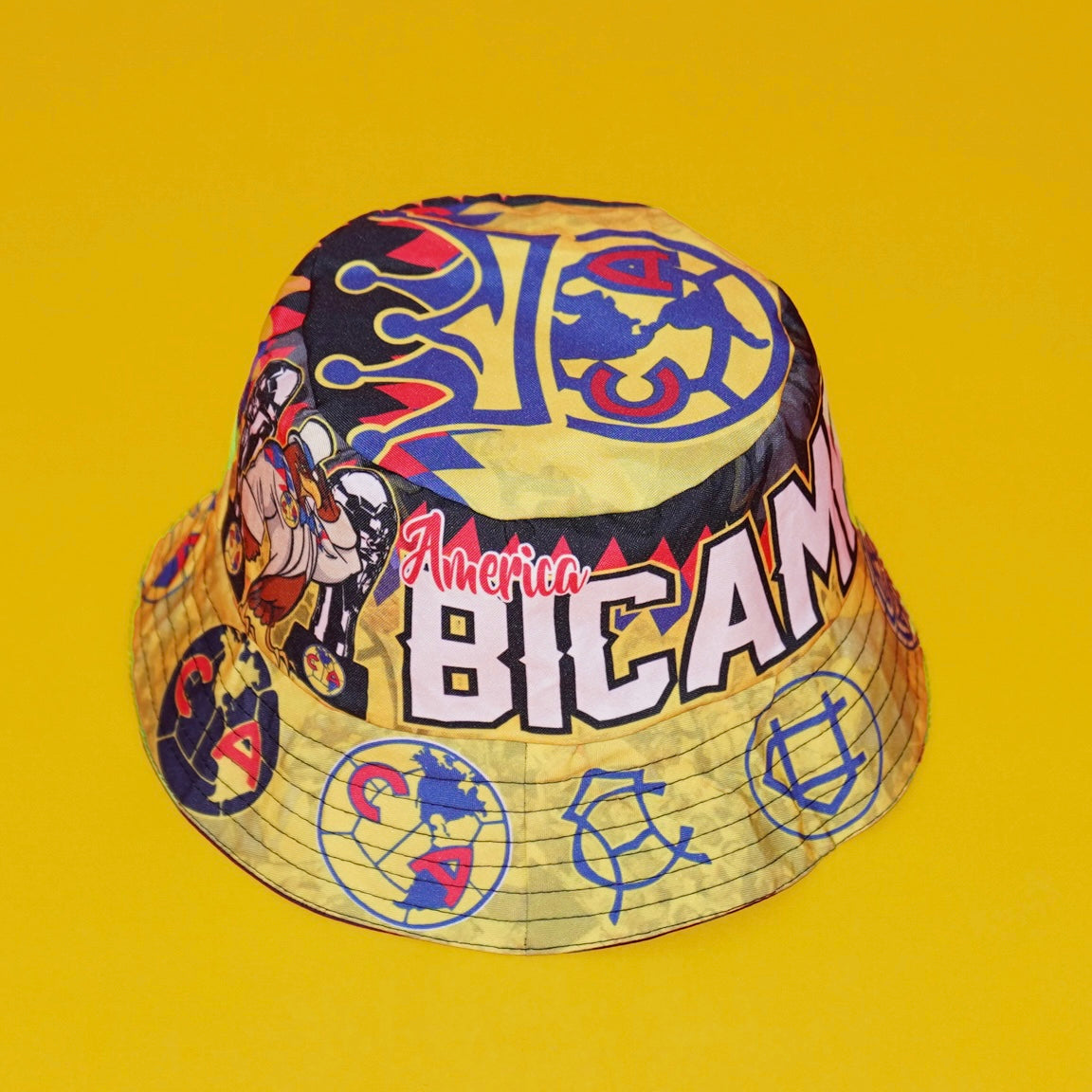 America “Bicampeones”