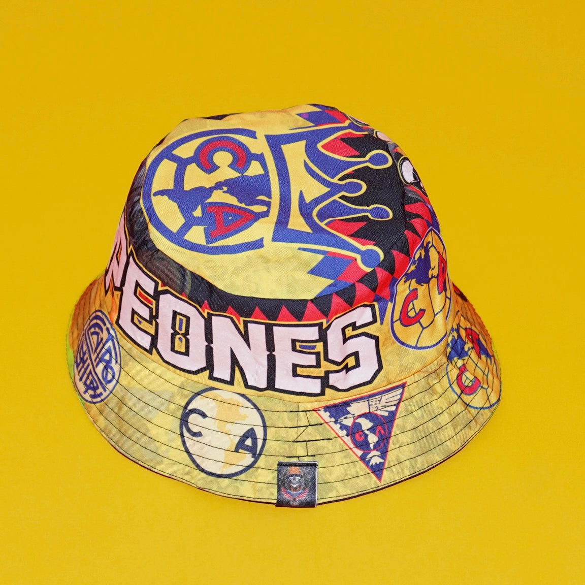 America “Bicampeones”
